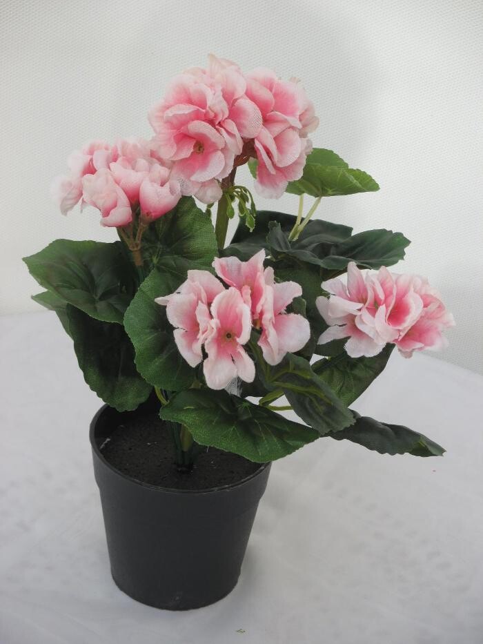 Bilder Sailer´s Geschenkideen OHG