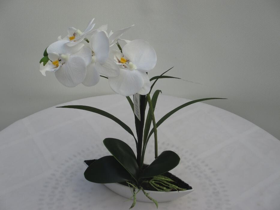 Bilder Sailer´s Geschenkideen OHG