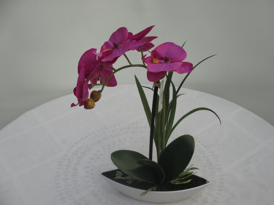 Bilder Sailer´s Geschenkideen OHG