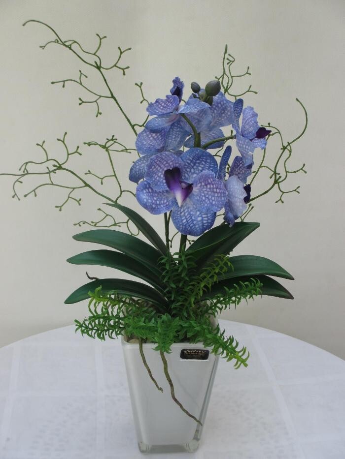 Bilder Sailer´s Geschenkideen OHG