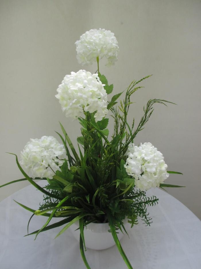 Bilder Sailer´s Geschenkideen OHG