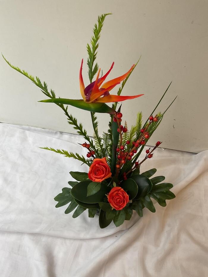Bilder Sailer´s Geschenkideen OHG