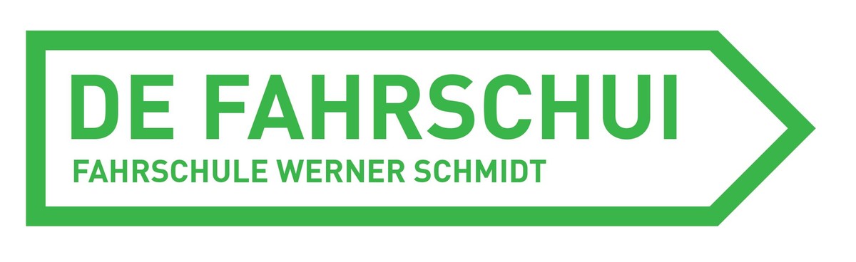 De-Fahrschui GmbH Logo