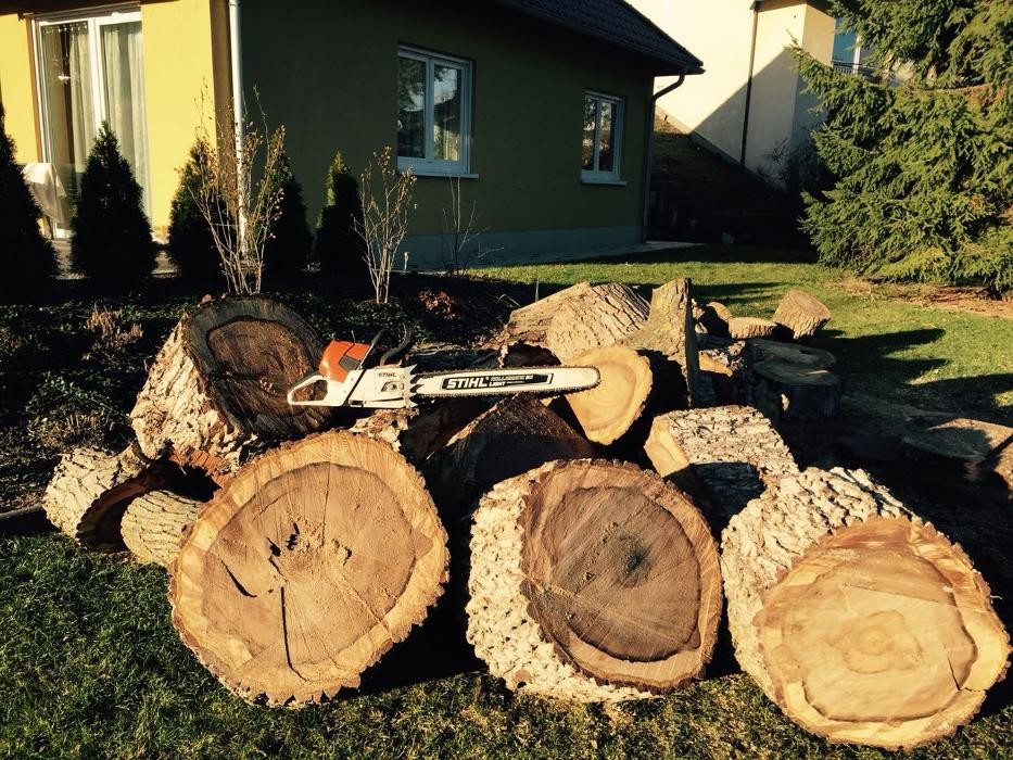 Bilder Maxes Baumdienst Max Schäske