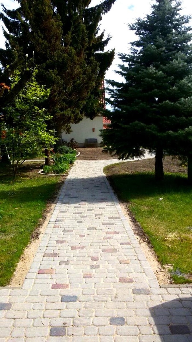 Bilder Maxes Baumdienst Max Schäske