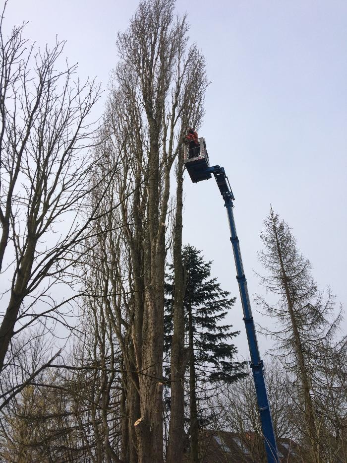 Bilder F. Jager Agrarservice und Landschaftspflege