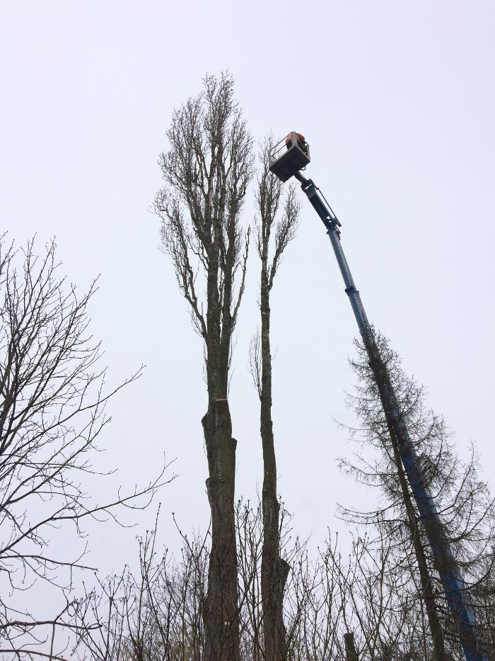 Bilder F. Jager Agrarservice und Landschaftspflege