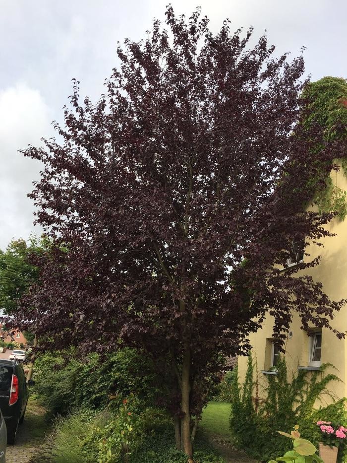 Bilder F. Jager Agrarservice und Landschaftspflege