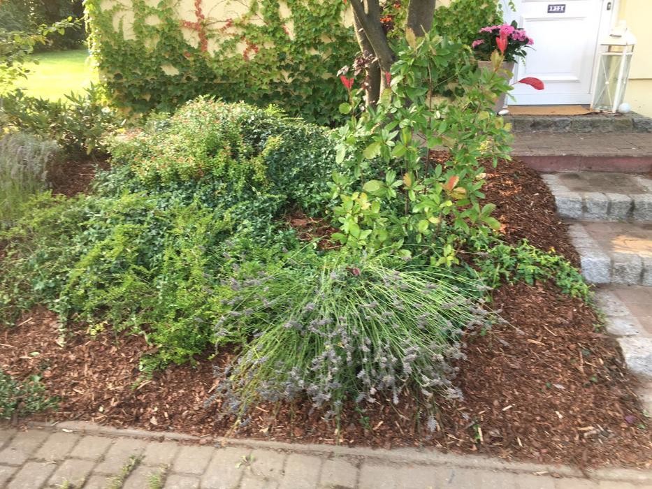 Bilder F. Jager Agrarservice und Landschaftspflege