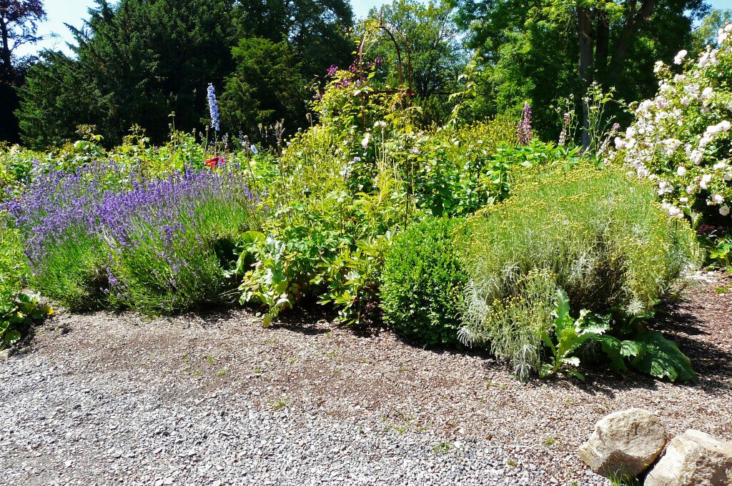 Bilder Röver GartenCon Garten- und Landschaftsbau