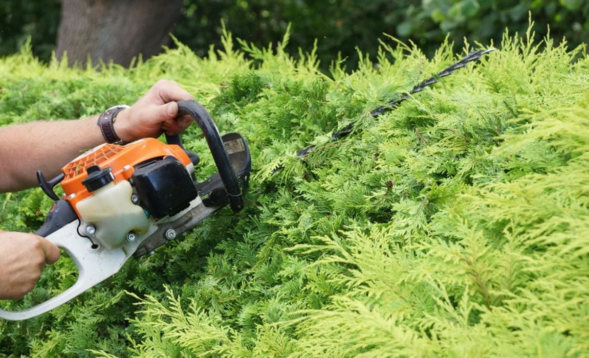 Bilder Dienstleistungsservice Strobel