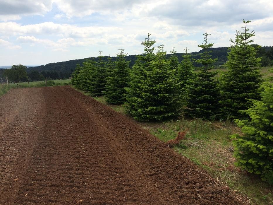 Bilder Peter Baumbusch Land- & Forstbetrieb