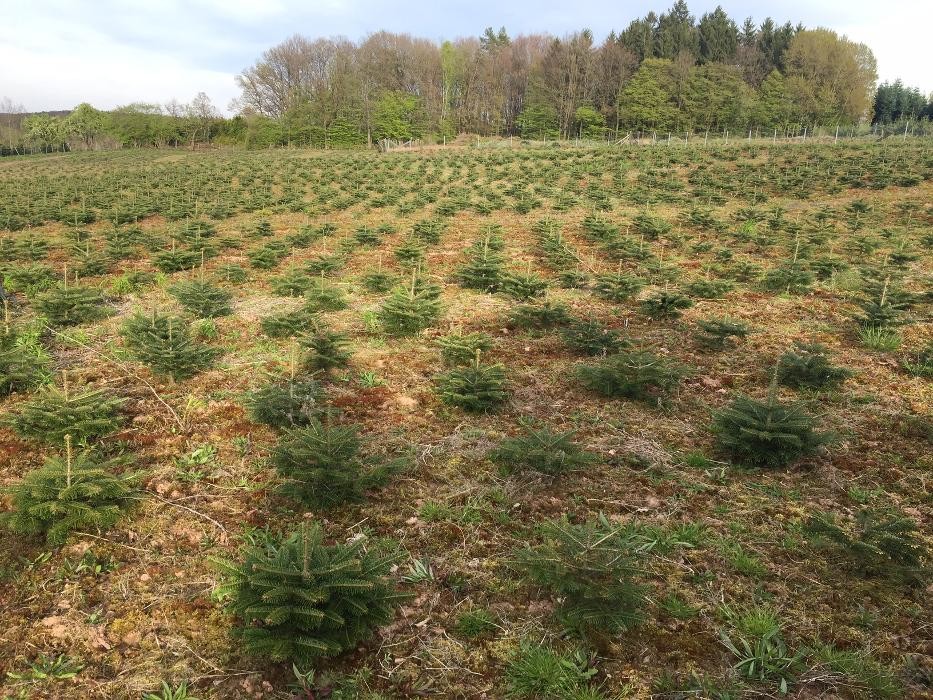 Bilder Peter Baumbusch Land- & Forstbetrieb