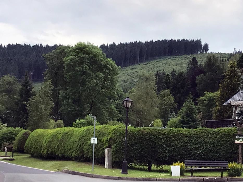 Bilder Hotel "Thüringer Wald"