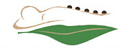 Linimed Bayern GmbH Logo