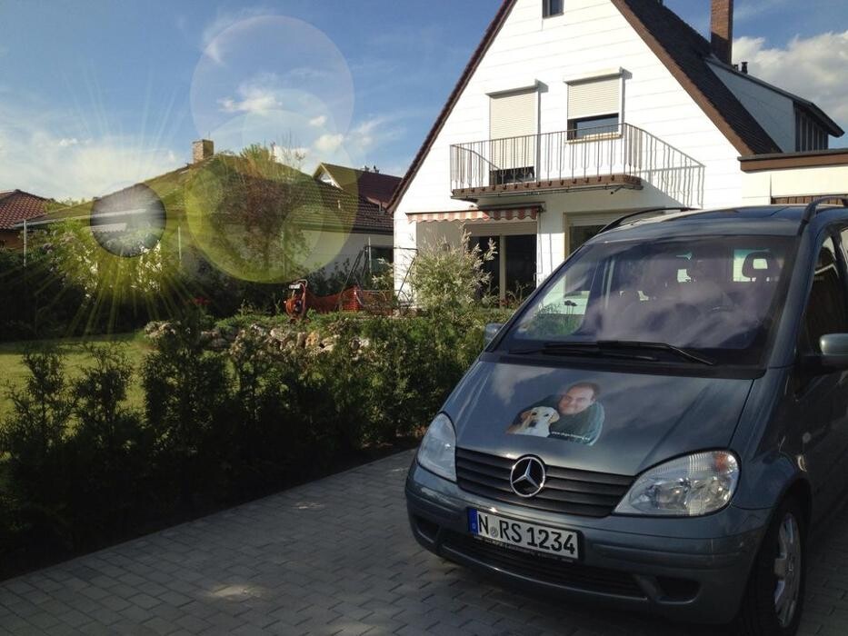 Bilder DOGS Training