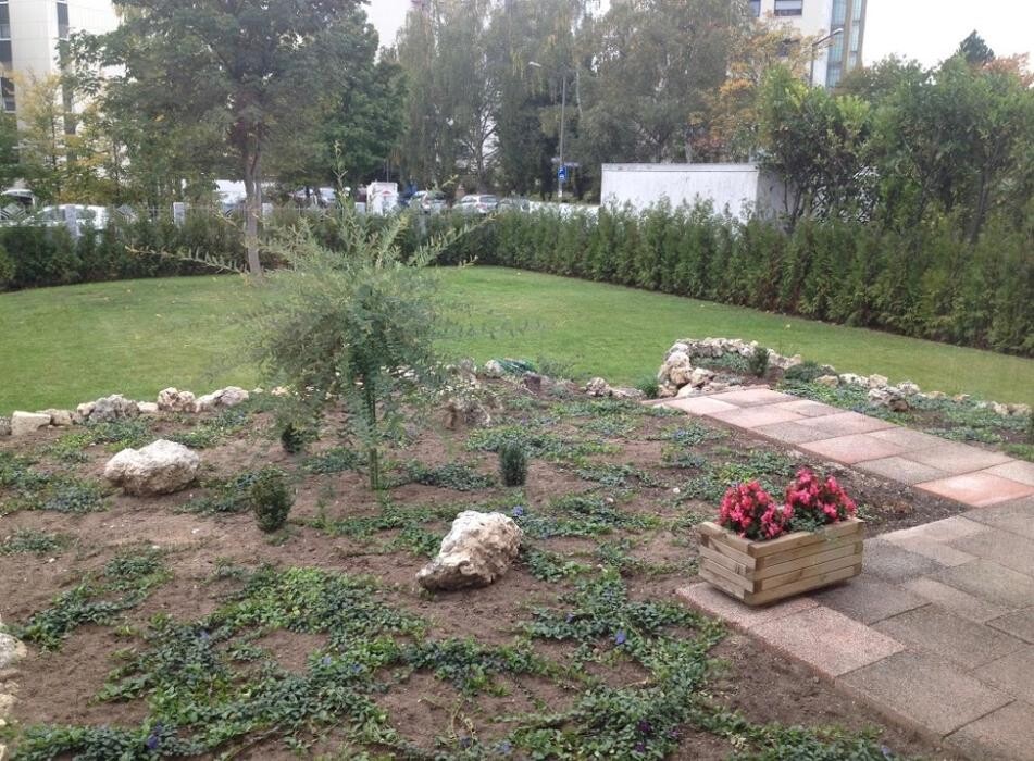 Bilder DOGS Training