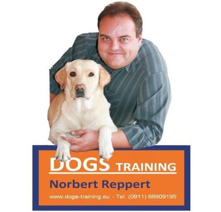 Bilder DOGS Training