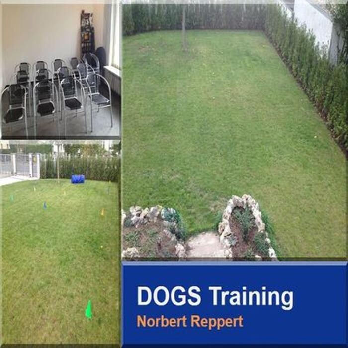 Bilder DOGS Training