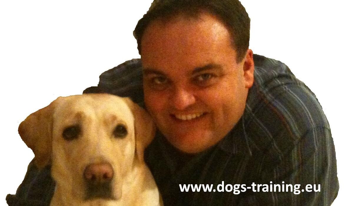 Bilder DOGS Training