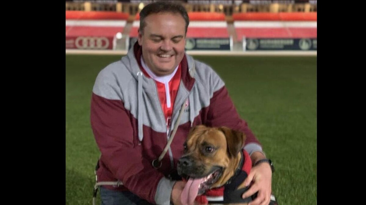 Bilder DOGS Training