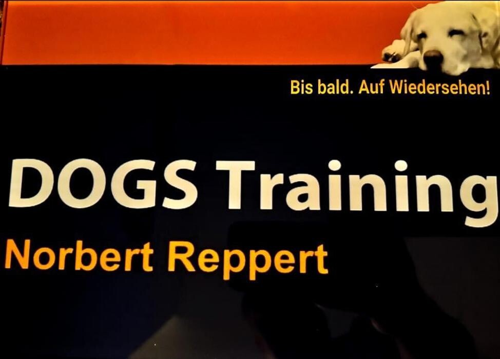 Bilder DOGS Training