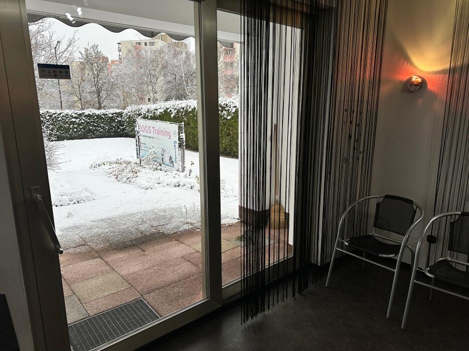 Bilder DOGS Training