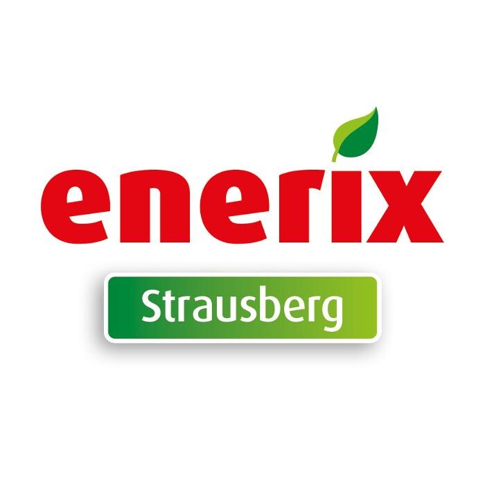 enerix Oderland - Photovoltaik & Stromspeicher Logo