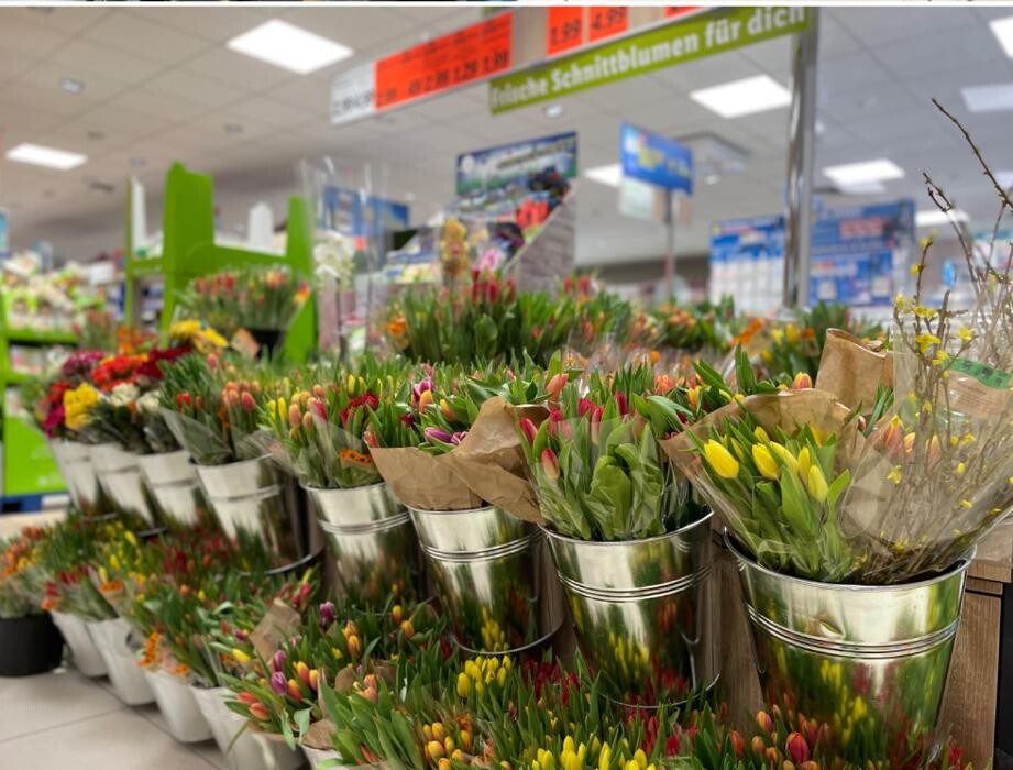 Bilder Lidl