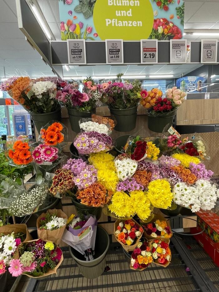Bilder Lidl