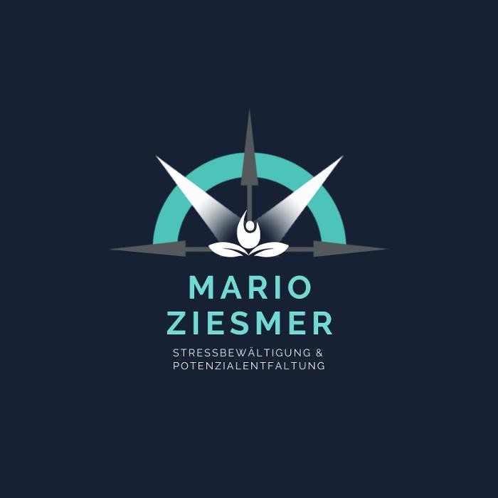 Mario Ziesmer - Coaching & Consulting Logo