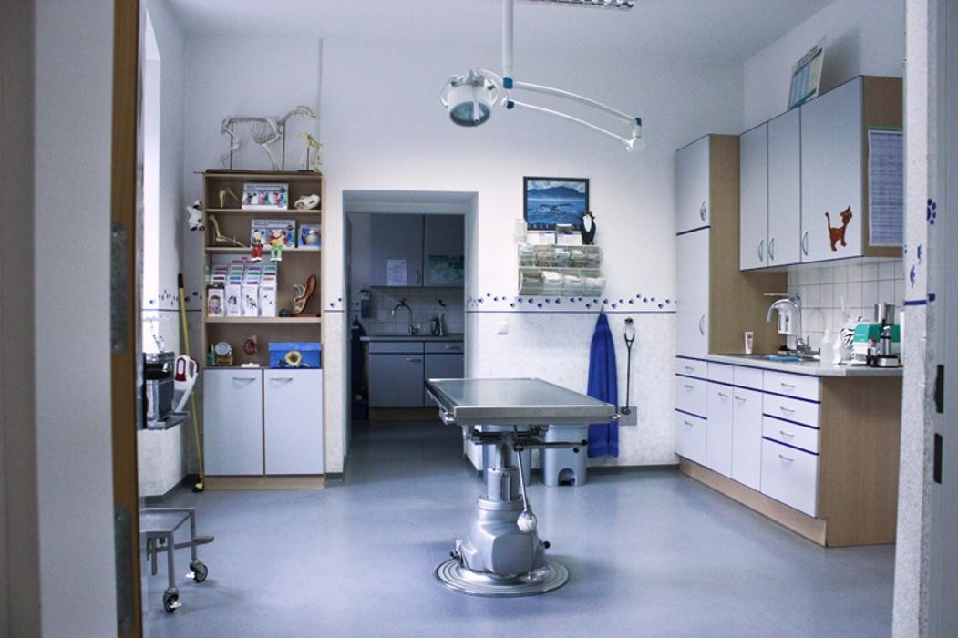 Bilder Dr. med. vet. Ingo Schneider - Fachtierarzt für Klein-und Heimtiere