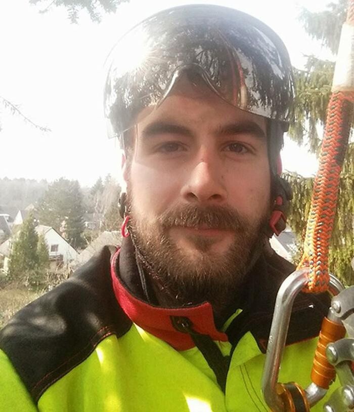Bilder Baumpflege kompakt