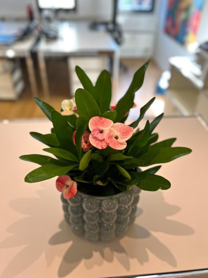 Bilder Anwälte für Arbeitsrecht Essen - Die Kanzlei für Kündigungsschutz