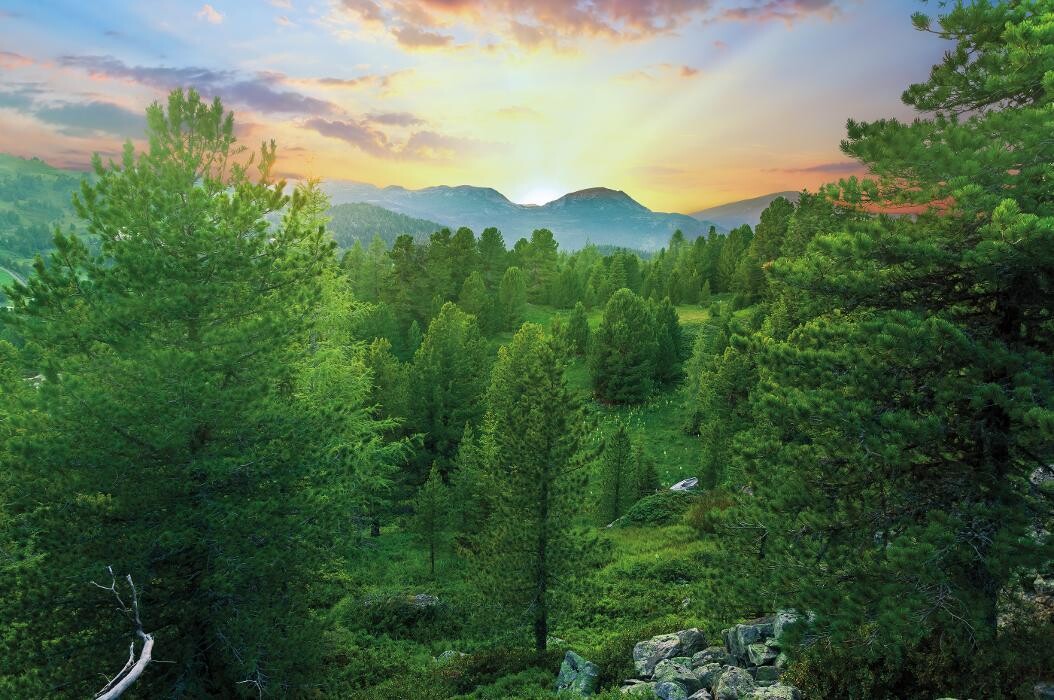 Bilder Tischlerei Stefan Schacht