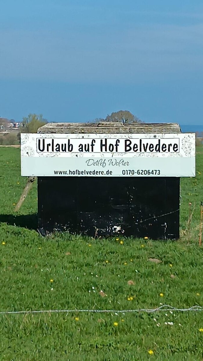 Bilder Hof Belvedere