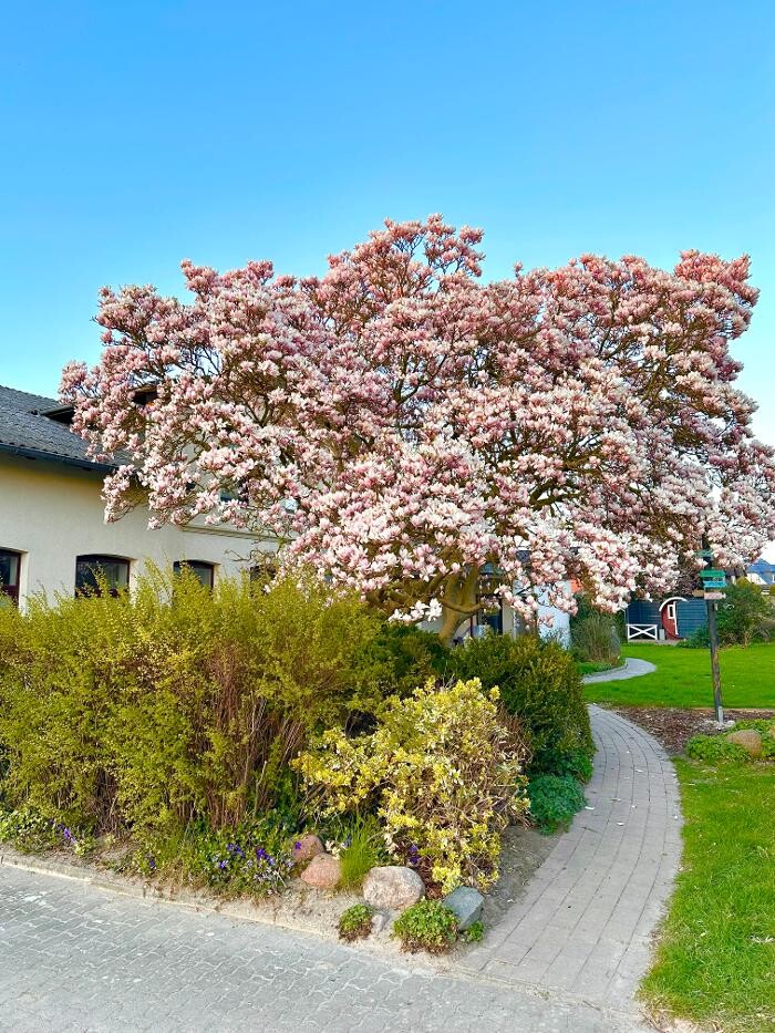 Bilder Hof Belvedere