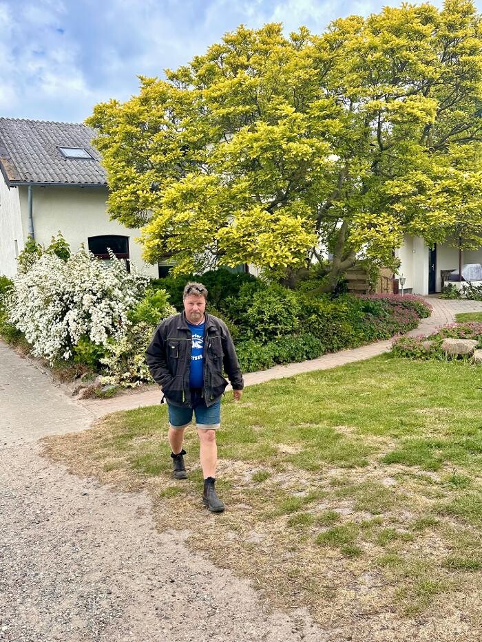 Bilder Hof Belvedere