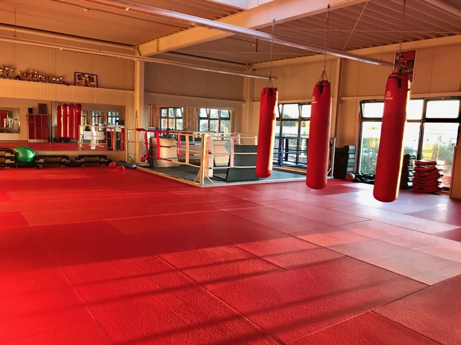 Bilder v8 fitness GmbH