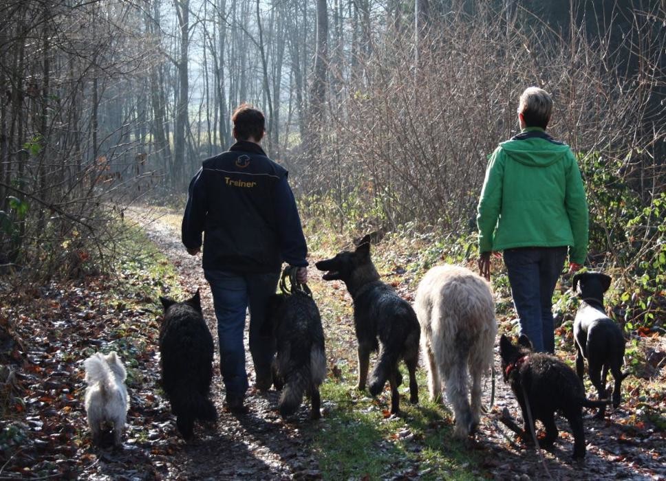 Bilder dog-handling by Conny Weigl