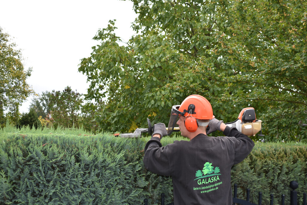 Bilder Galaska Inh. S. Kratzke