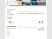 Website Screenshot ProEnergie Solution Consulting GmbH