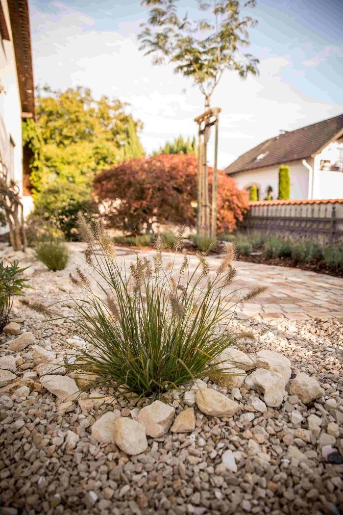 Bilder Herrle Garten- und Landschaftsbau