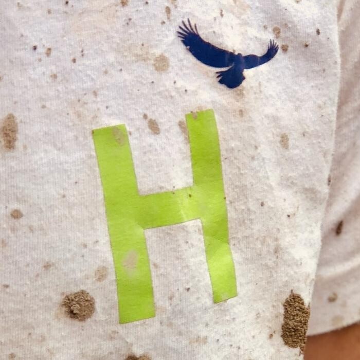 Bilder Herrle Garten- und Landschaftsbau