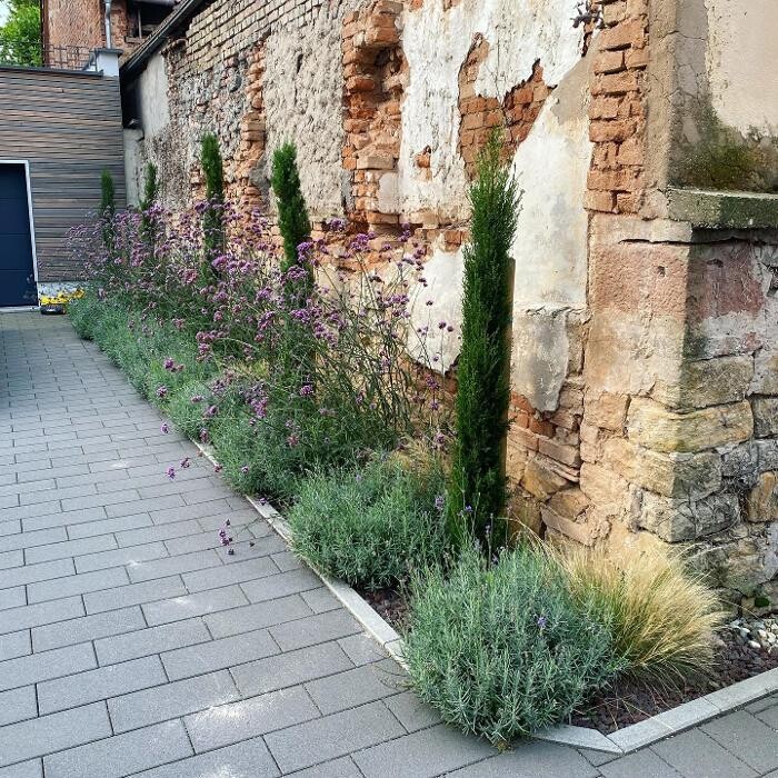 Bilder Herrle Garten- und Landschaftsbau