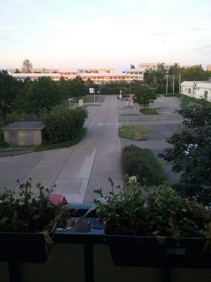 Bilder Cornelia Paproth