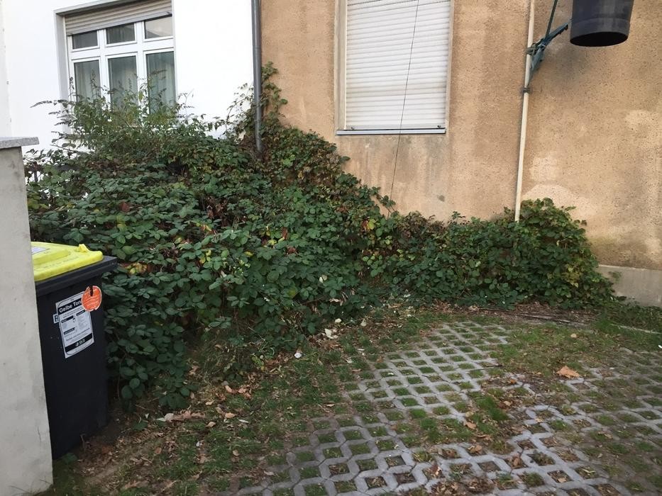 Bilder GML Gebäudedienste Rheinland GmbH