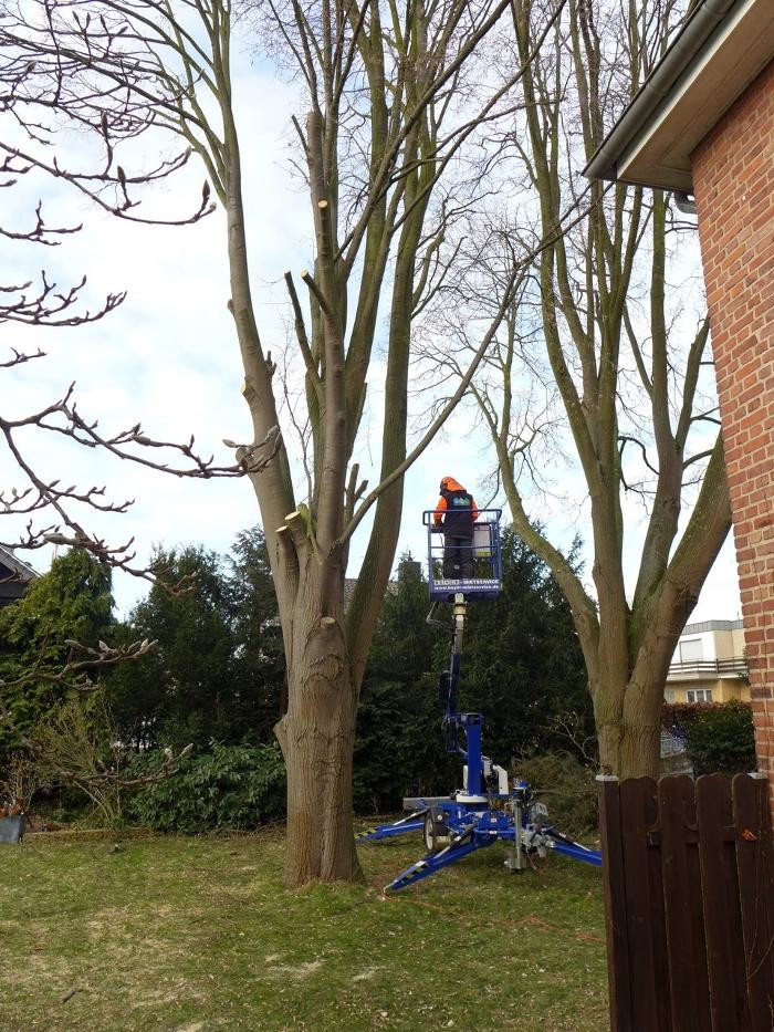 Bilder GML Gebäudedienste Rheinland GmbH