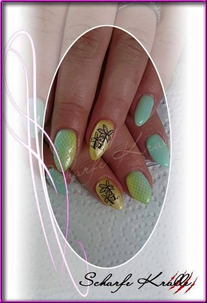 Bilder Nagelstudio Scharfe Kralle