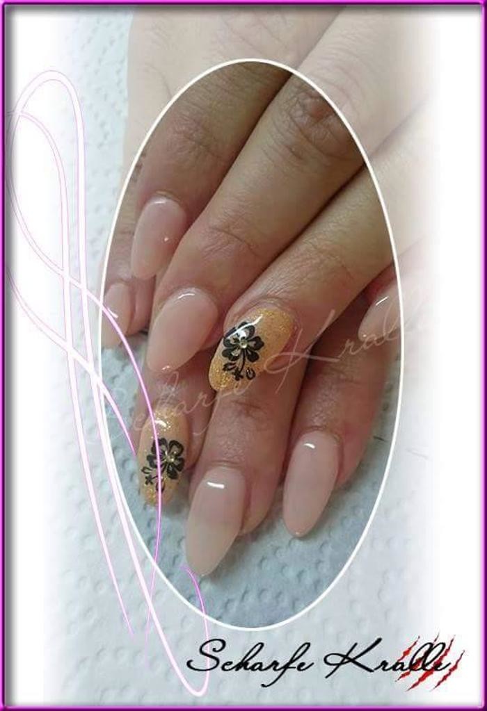 Bilder Nagelstudio Scharfe Kralle